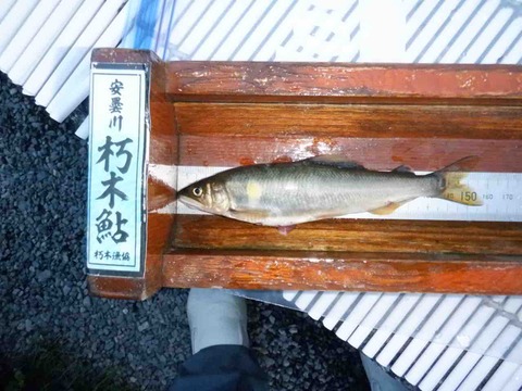 AF7C3618-7ED5-4795-AAF0-19AB00451321