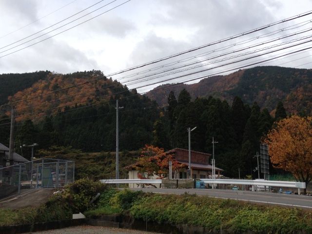 イメージ 5