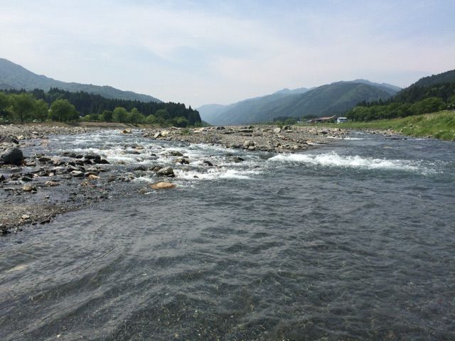 イメージ 4