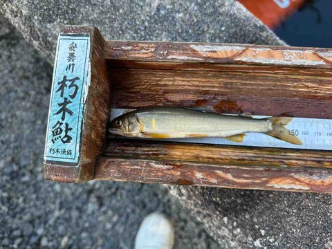 IMG_0130