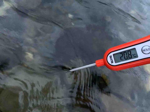 IMG_2816
