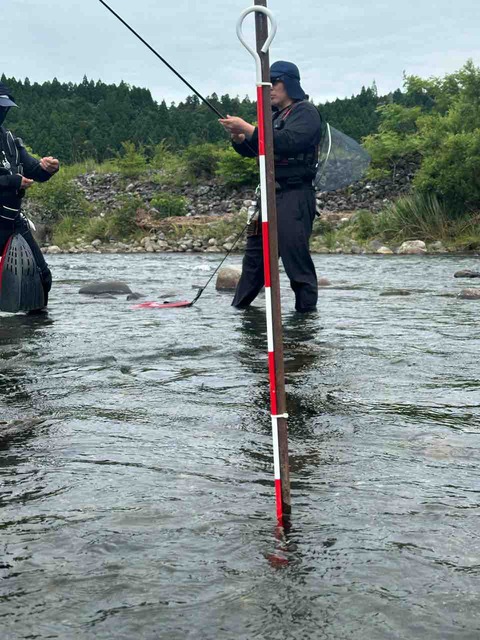 IMG_9178