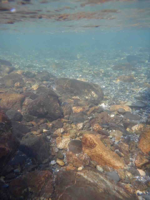 EC176FBF-E571-4E0A-BF3E-B3B1C3EBA045