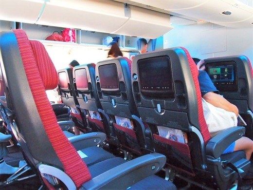 JAL スカイワイダー