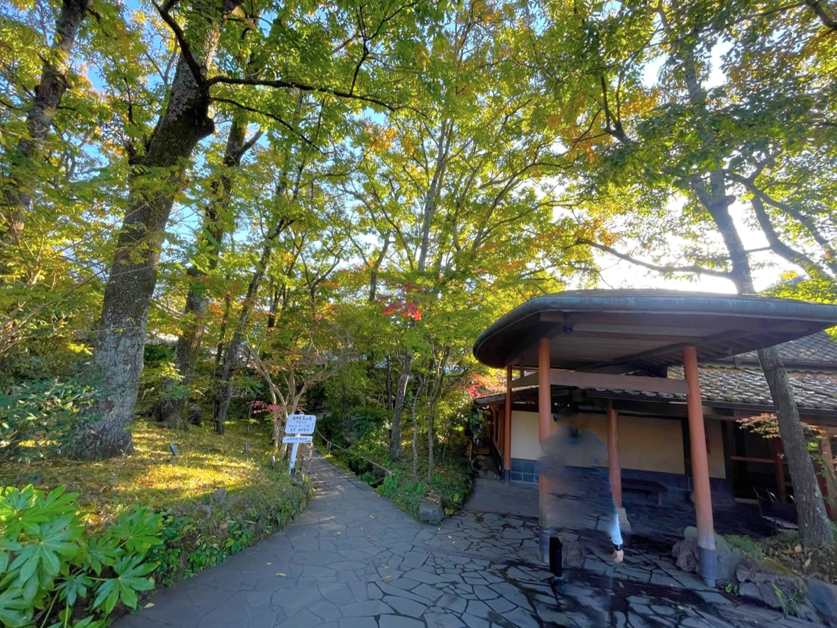 pure nudist junior sport