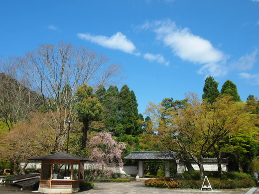 日本庭園入り口