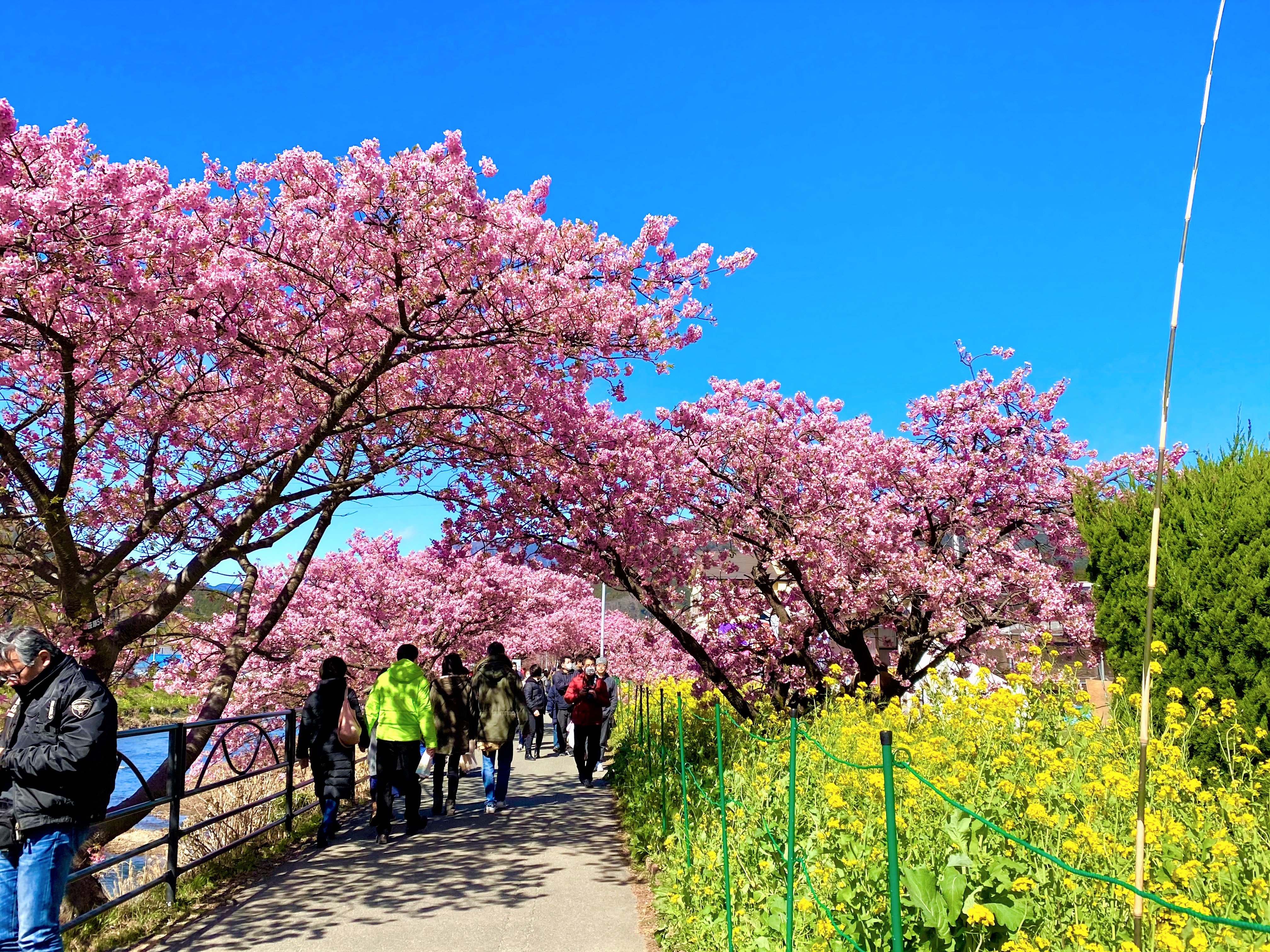 紀子の部屋 New 年03月30日