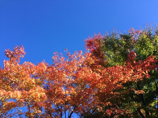 箱根美術館