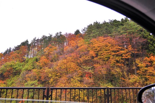 途中の紅葉