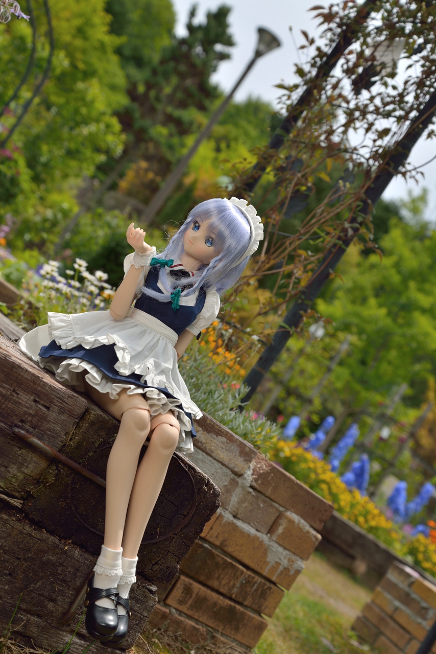 大阪府立 花の文化園 むらぶろぐ