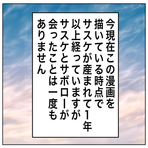 離婚調停26-7