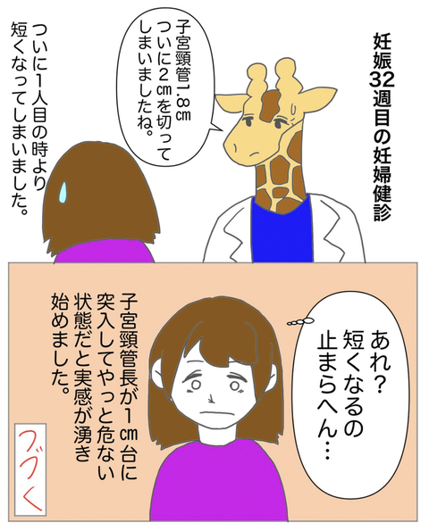 スクリーンショット 2023-08-01 12.11.09