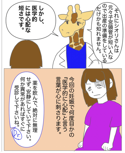 スクリーンショット 2023-08-01 12.12.27