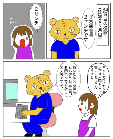 スクリーンショット 2023-07-31 18.51.57