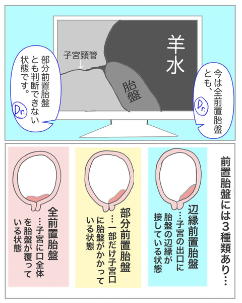 スクリーンショット 2023-08-01 11.44.00
