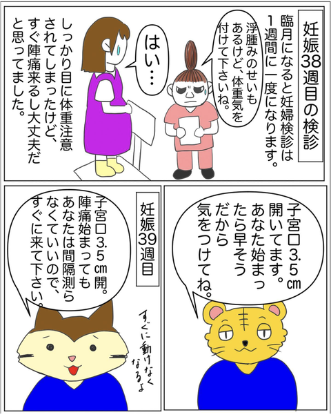 スクリーンショット 2023-07-31 19.15.12