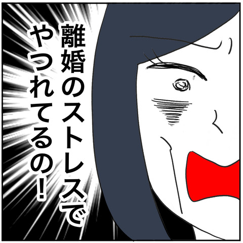 離婚調停85-6