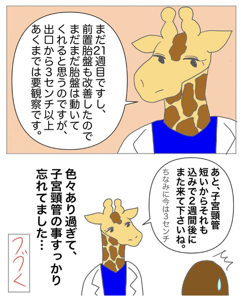 スクリーンショット 2023-08-01 12.03.06