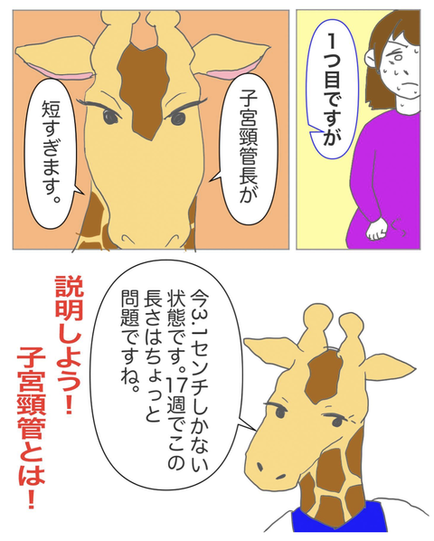 スクリーンショット 2023-08-01 11.39.33