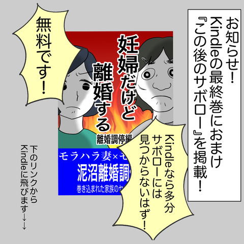 離婚調停キンドル宣伝
