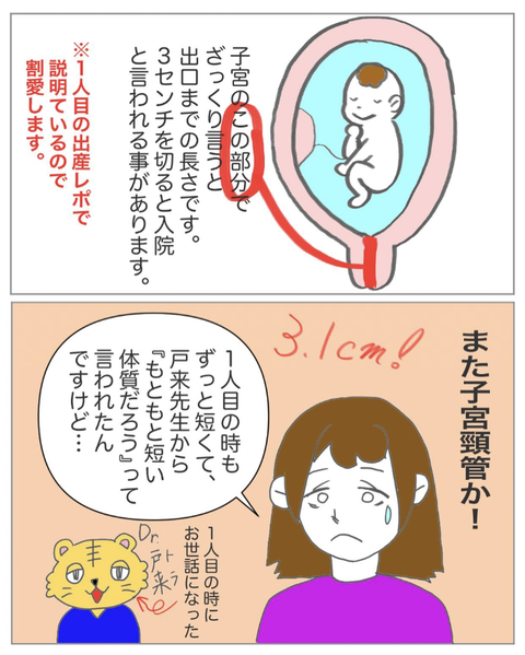 スクリーンショット 2023-08-01 11.39.39