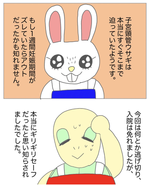 スクリーンショット 2023-08-01 12.14.51