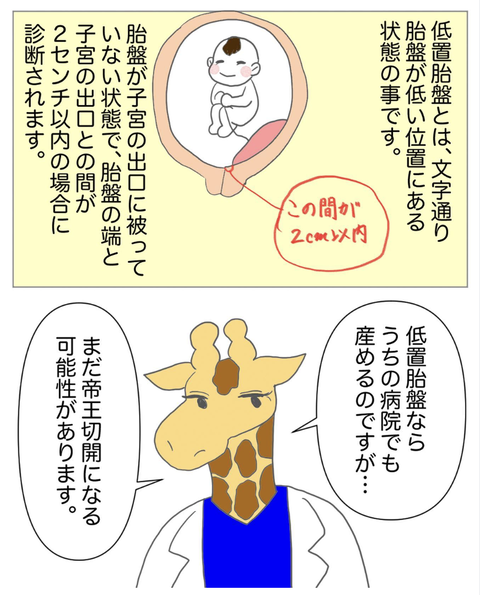 スクリーンショット 2023-08-01 12.02.54