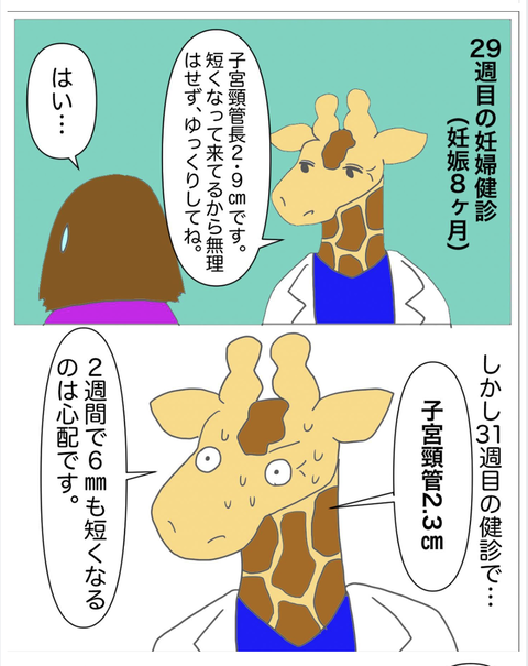 スクリーンショット 2023-08-01 12.10.48