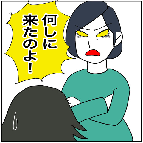 妊婦離婚109の1