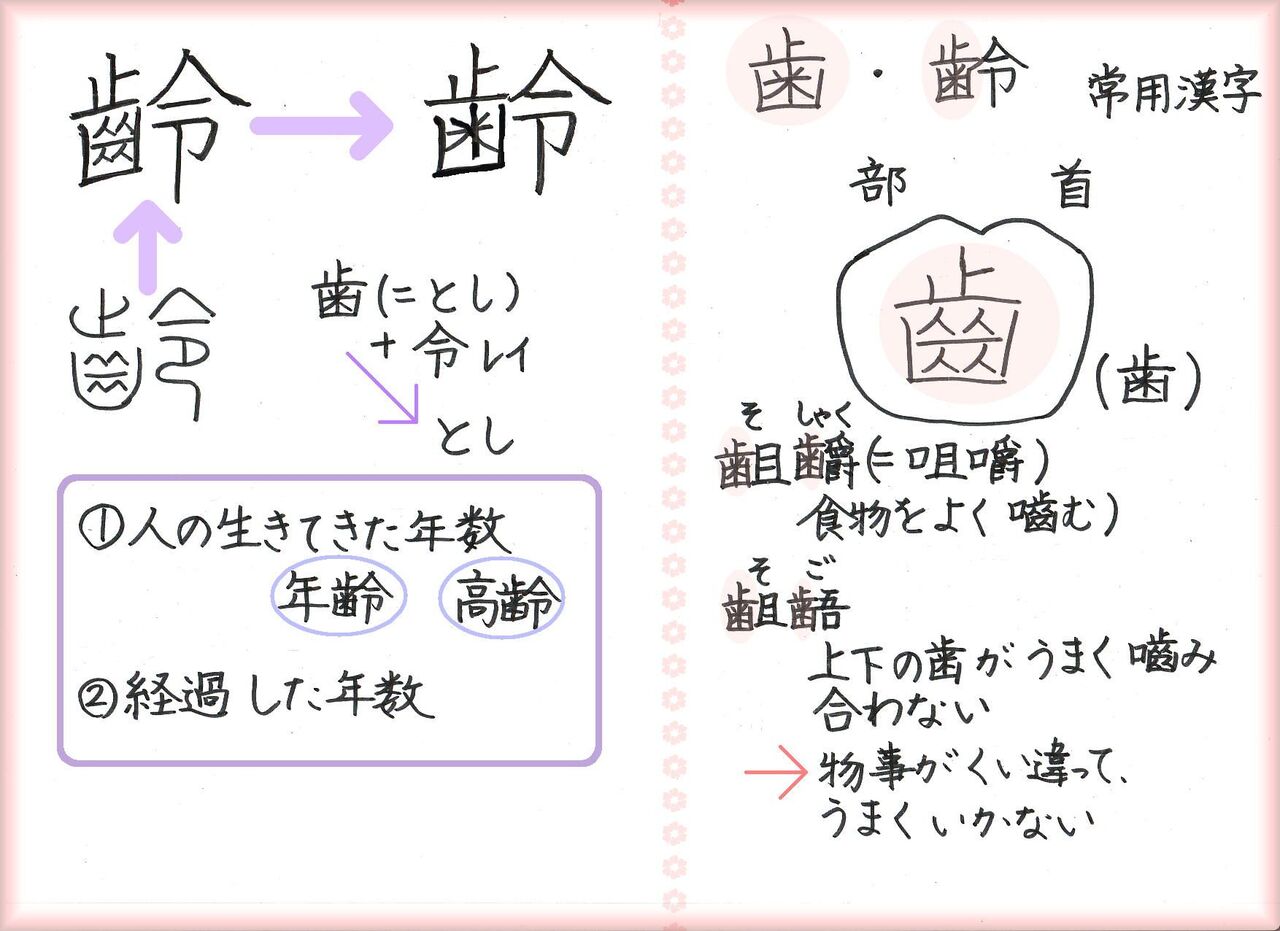 歯にまつわる漢字の話 むらコらむ ２