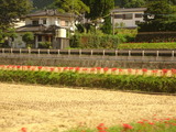 DSC00379