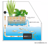 アクアポニックス__large