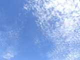 DSC00416