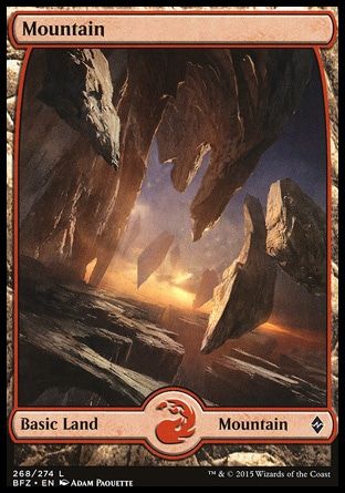 MTG ゼンディカー フルアート 基本土地 210枚 フルアート土地12枚 ゼンディカーの夜明けZNR MTG 基本土地 非