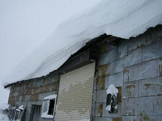 3943bf93.jpg