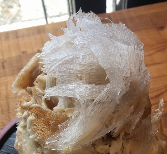 2018-07-22 10.37.52-1