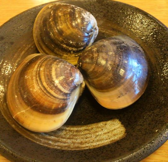 1000円グルメの旅 from 宇都宮 to 47都道府県