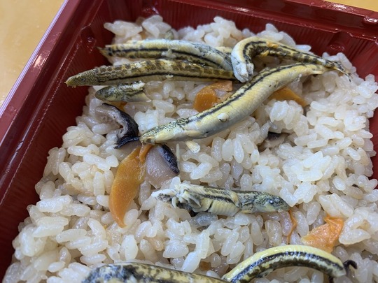 2024-10-27 14.09.21-1