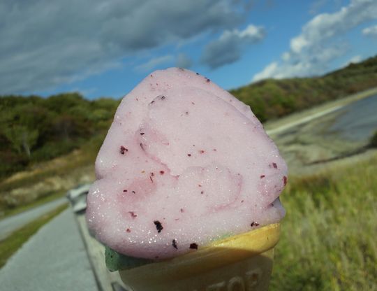 1000円グルメの旅　from 宇都宮　to 47都道府県