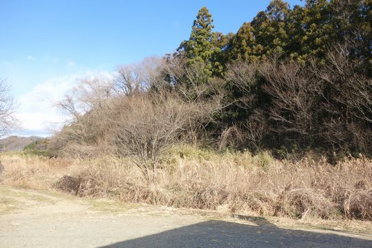 DSC09658