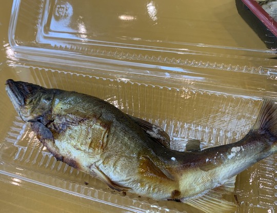 2024-10-27 14.14.15-1