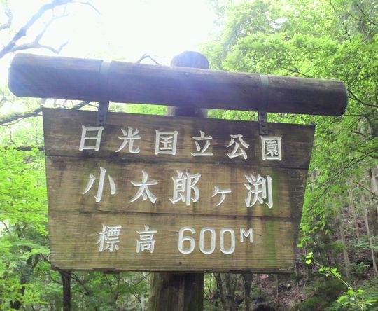 1000円グルメの日々in宇都宮