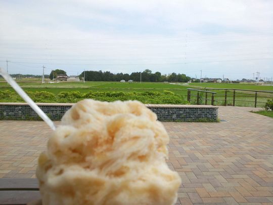 1000円グルメの旅 from 宇都宮 to 47都道府県