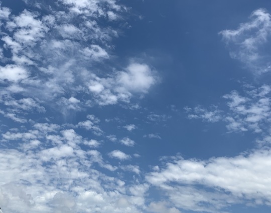 2020-06-12 09.55.00