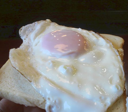 1000円グルメの旅　from 宇都宮　to 47都道府県