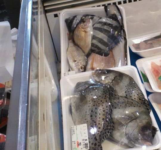 1000円グルメの旅 from 宇都宮 to 47都道府県