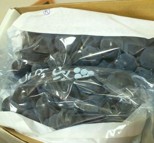 1000円グルメの旅 from 宇都宮 to 47都道府県