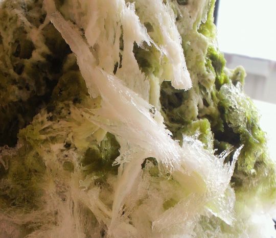 1000円グルメの旅　from 宇都宮　to 47都道府県