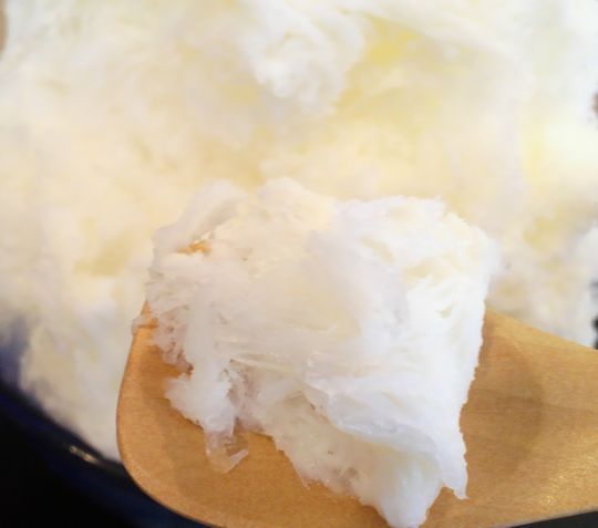 1000円グルメの旅 from 宇都宮 to 47都道府県