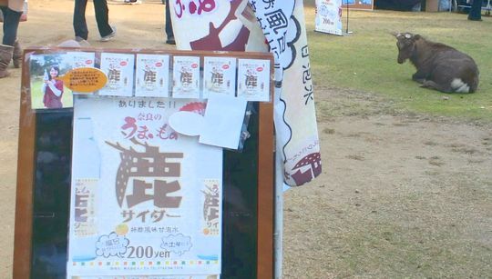 1000円グルメの旅 from 宇都宮 to 47都道府県